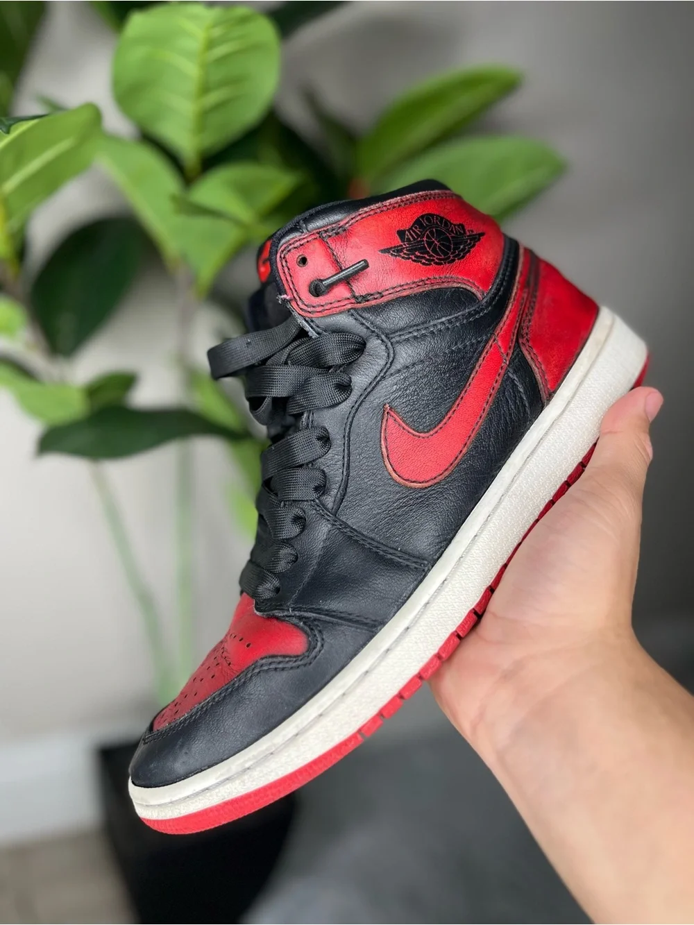 2014 Jordan 1 bred